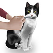 Advice on correct administration